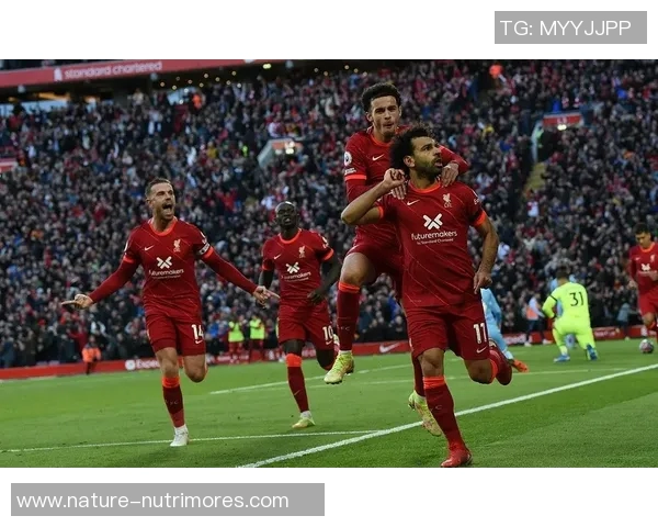 加的夫与布莱顿精彩对决直播全程回顾与分析