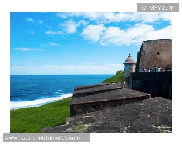 探索埃斯特旺的魅力与历史，感受这座城市的独特风情与文化底蕴
