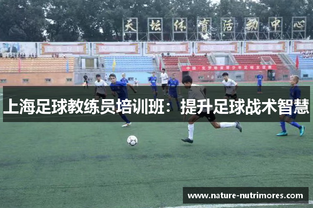 上海足球教练员培训班：提升足球战术智慧