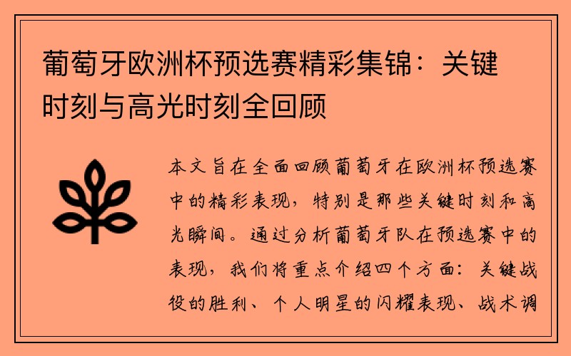 葡萄牙欧洲杯预选赛精彩集锦：关键时刻与高光时刻全回顾