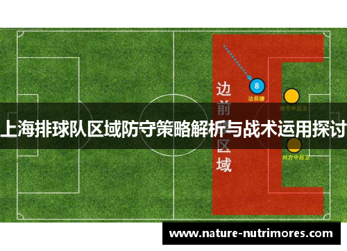 上海排球队区域防守策略解析与战术运用探讨