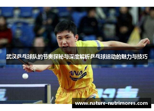武汉乒乓球队的节奏探秘与深度解析乒乓球运动的魅力与技巧