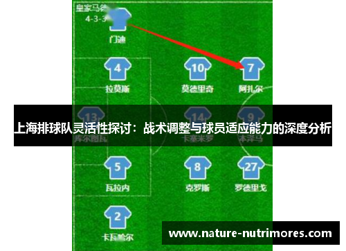 上海排球队灵活性探讨：战术调整与球员适应能力的深度分析