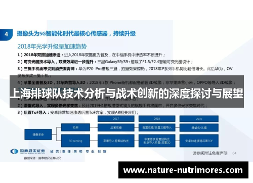 上海排球队技术分析与战术创新的深度探讨与展望