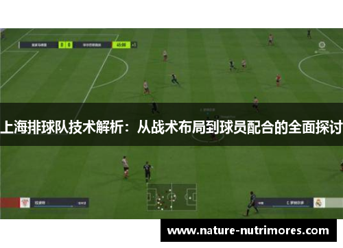 上海排球队技术解析：从战术布局到球员配合的全面探讨