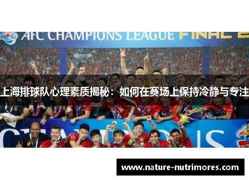 上海排球队心理素质揭秘：如何在赛场上保持冷静与专注