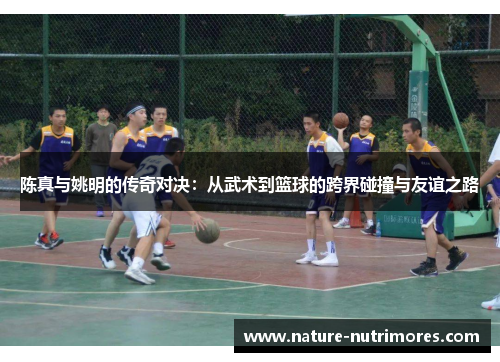 陈真与姚明的传奇对决：从武术到篮球的跨界碰撞与友谊之路