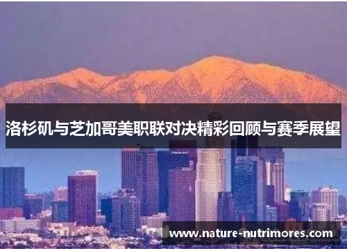 洛杉矶与芝加哥美职联对决精彩回顾与赛季展望