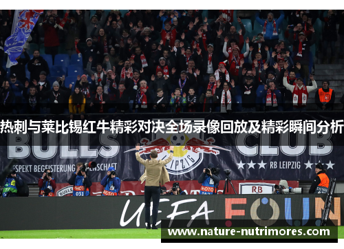 热刺与莱比锡红牛精彩对决全场录像回放及精彩瞬间分析