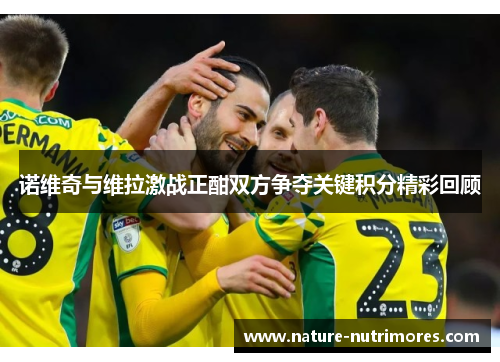诺维奇与维拉激战正酣双方争夺关键积分精彩回顾